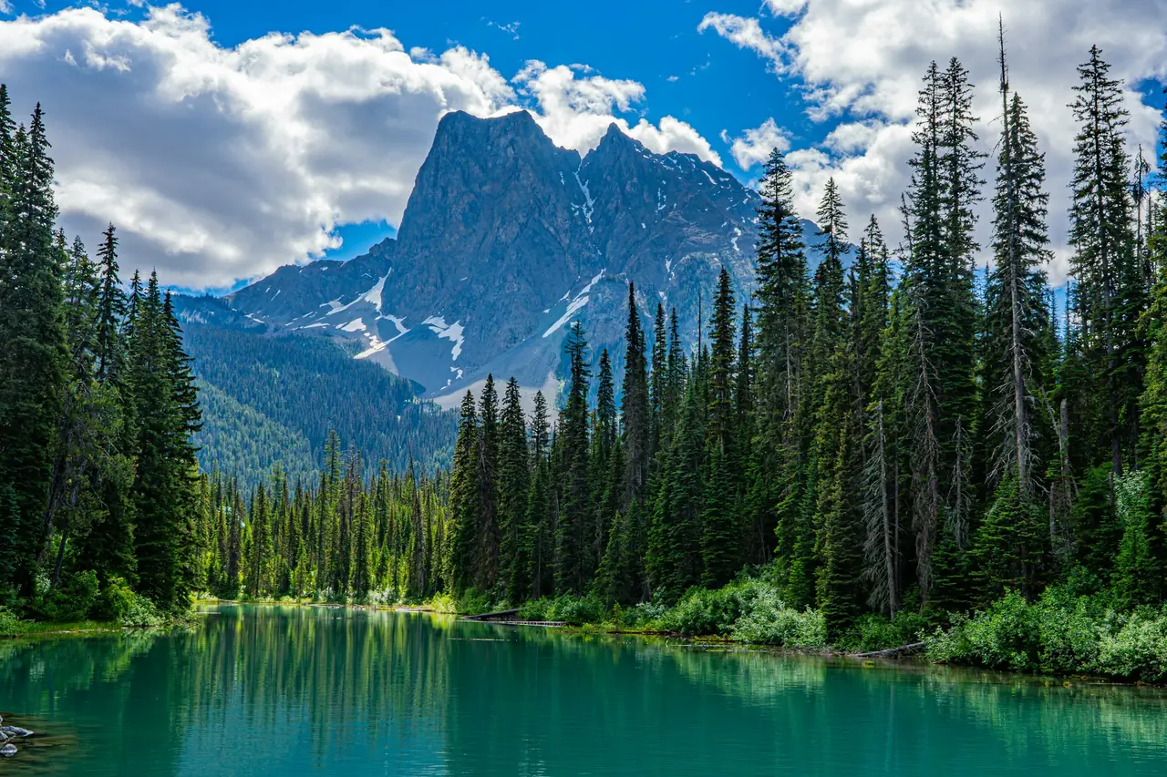 Emerald Lake in BC, lined with tall evergreens, with a rocky peak behind